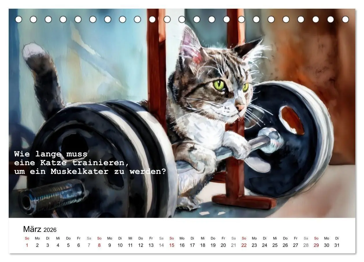 Bild: 9783516693942 | Lustige und paradoxe Fragen (Tischkalender 2026 DIN A5 quer),...