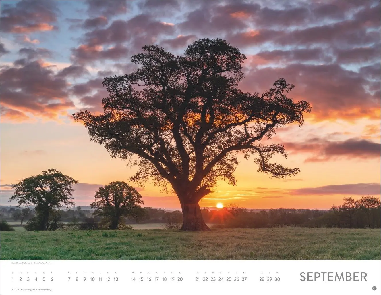 Bild: 9783756413942 | Orte der Kraft Posterkalender 2026 | Kalender | 14 S. | Deutsch | 2026
