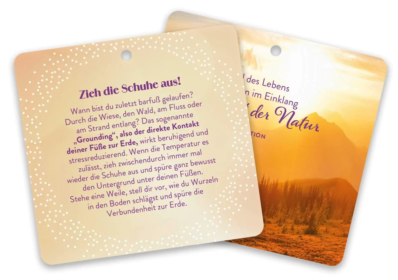 Bild: 4036442014042 | Der Augenblick gehört dir | Groh Verlag | Box | 24 S. | Deutsch | 2025