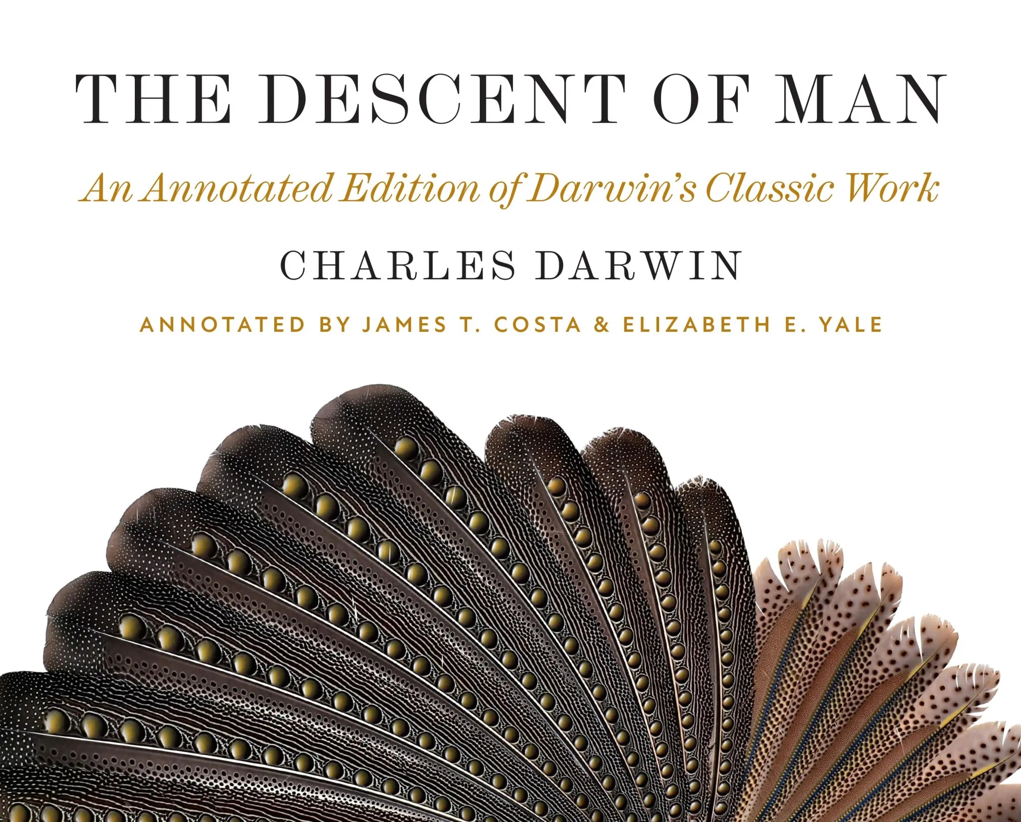Cover: 9780691194042 | The Descent of Man | An Annotated Edition of Darwin's Classic Work