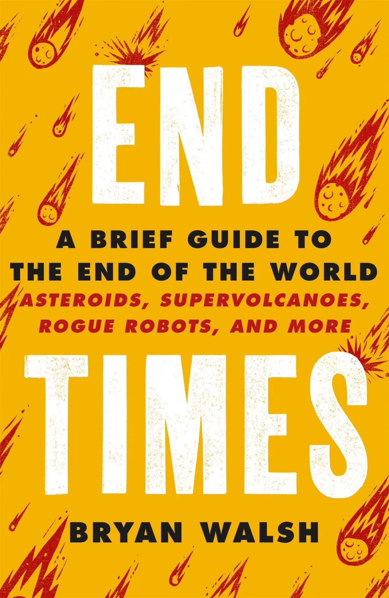 Cover: 9781841884042 | End Times | Asteroids, Supervolcanoes, Plagues and More | Bryan Walsh