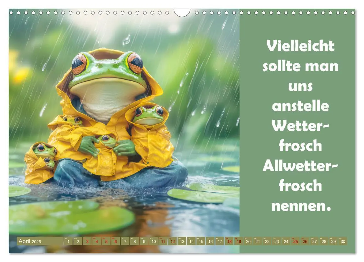 Bild: 9783457254042 | Witzige Frösche - Sprüche (Wandkalender 2026 DIN A3 quer), CALVENDO...