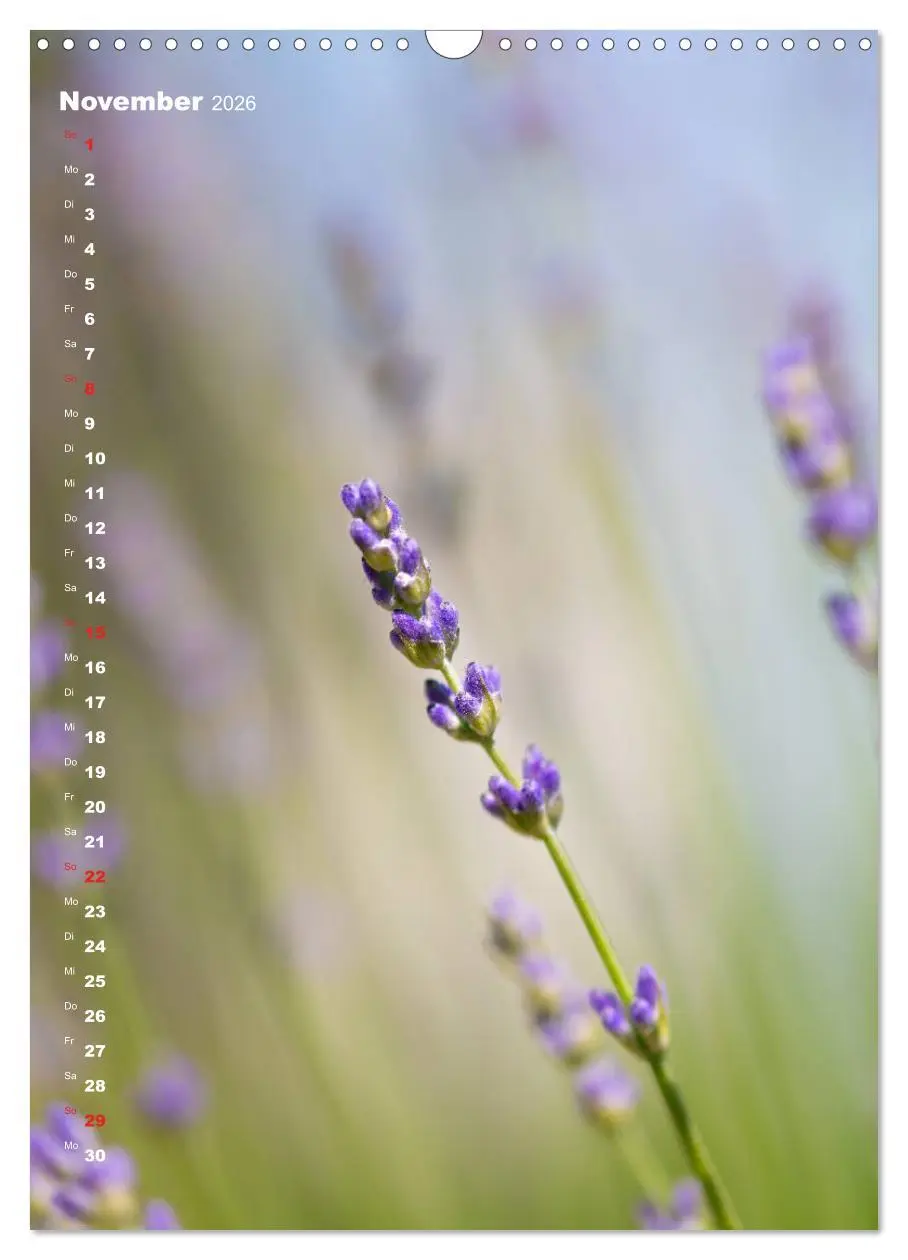 Bild: 9783516404142 | Colors of Nature (Wandkalender 2026 DIN A3 hoch), CALVENDO...