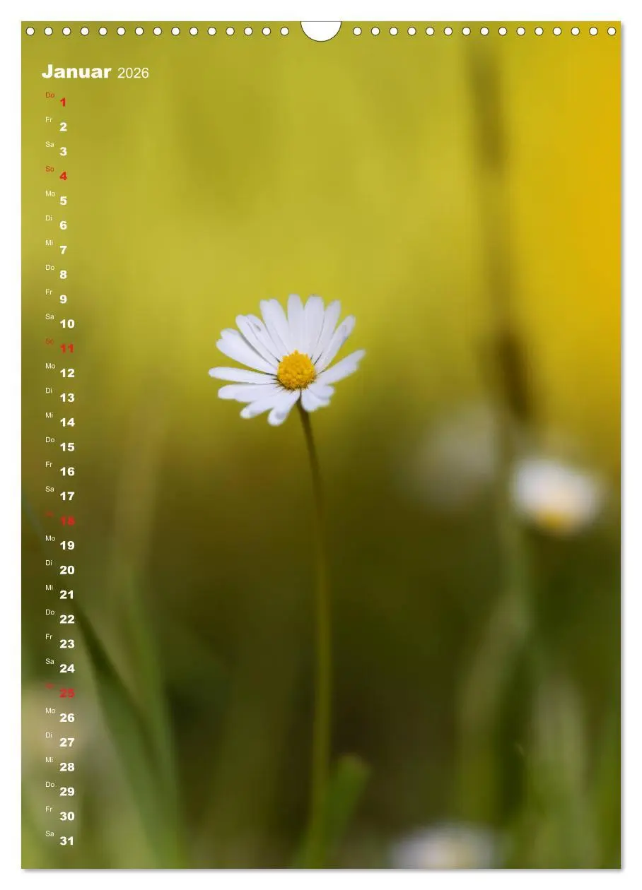 Bild: 9783516404142 | Colors of Nature (Wandkalender 2026 DIN A3 hoch), CALVENDO...