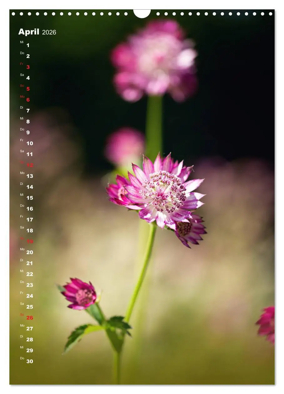 Bild: 9783516404142 | Colors of Nature (Wandkalender 2026 DIN A3 hoch), CALVENDO...