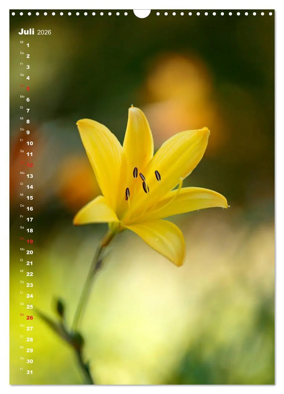 Bild: 9783516404142 | Colors of Nature (Wandkalender 2026 DIN A3 hoch), CALVENDO...