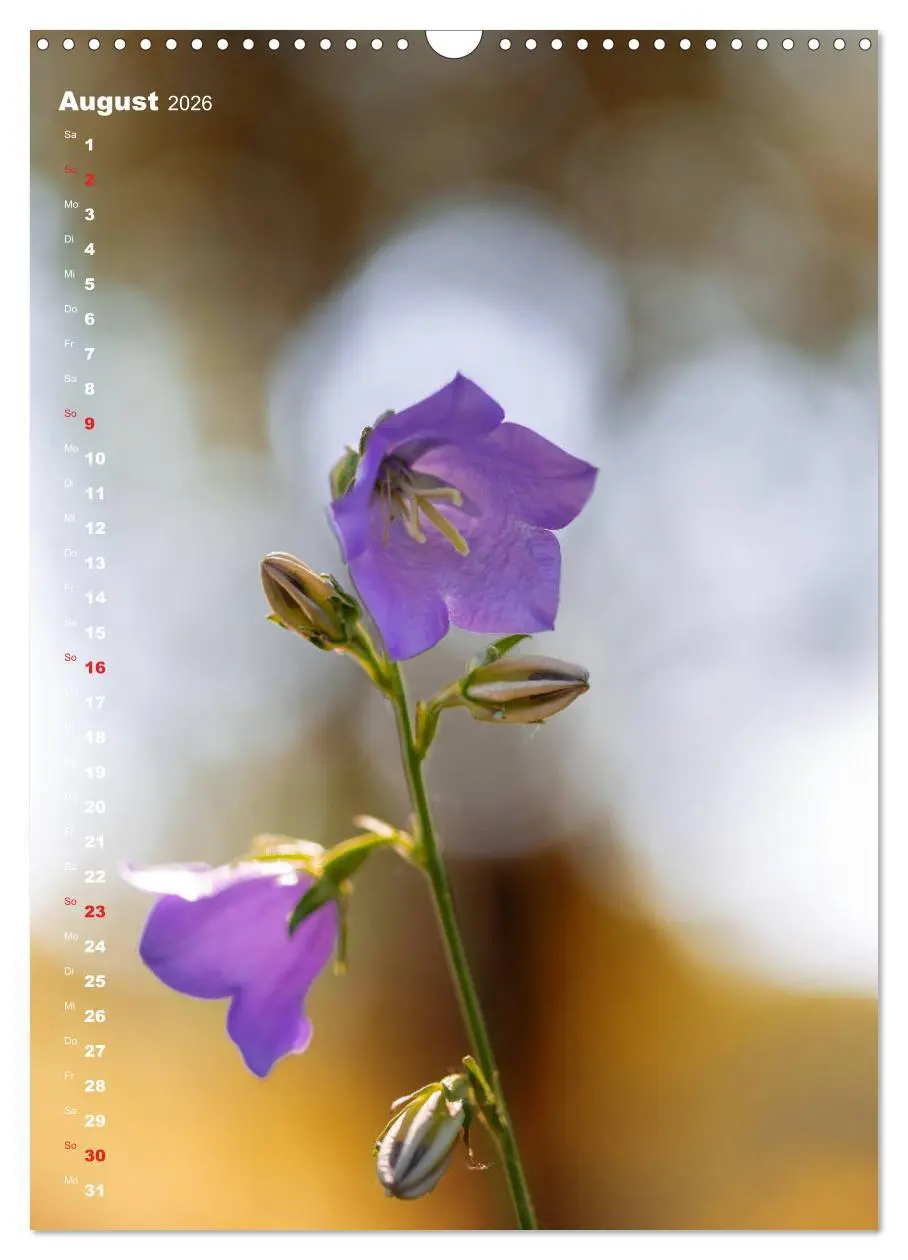 Bild: 9783516404142 | Colors of Nature (Wandkalender 2026 DIN A3 hoch), CALVENDO...