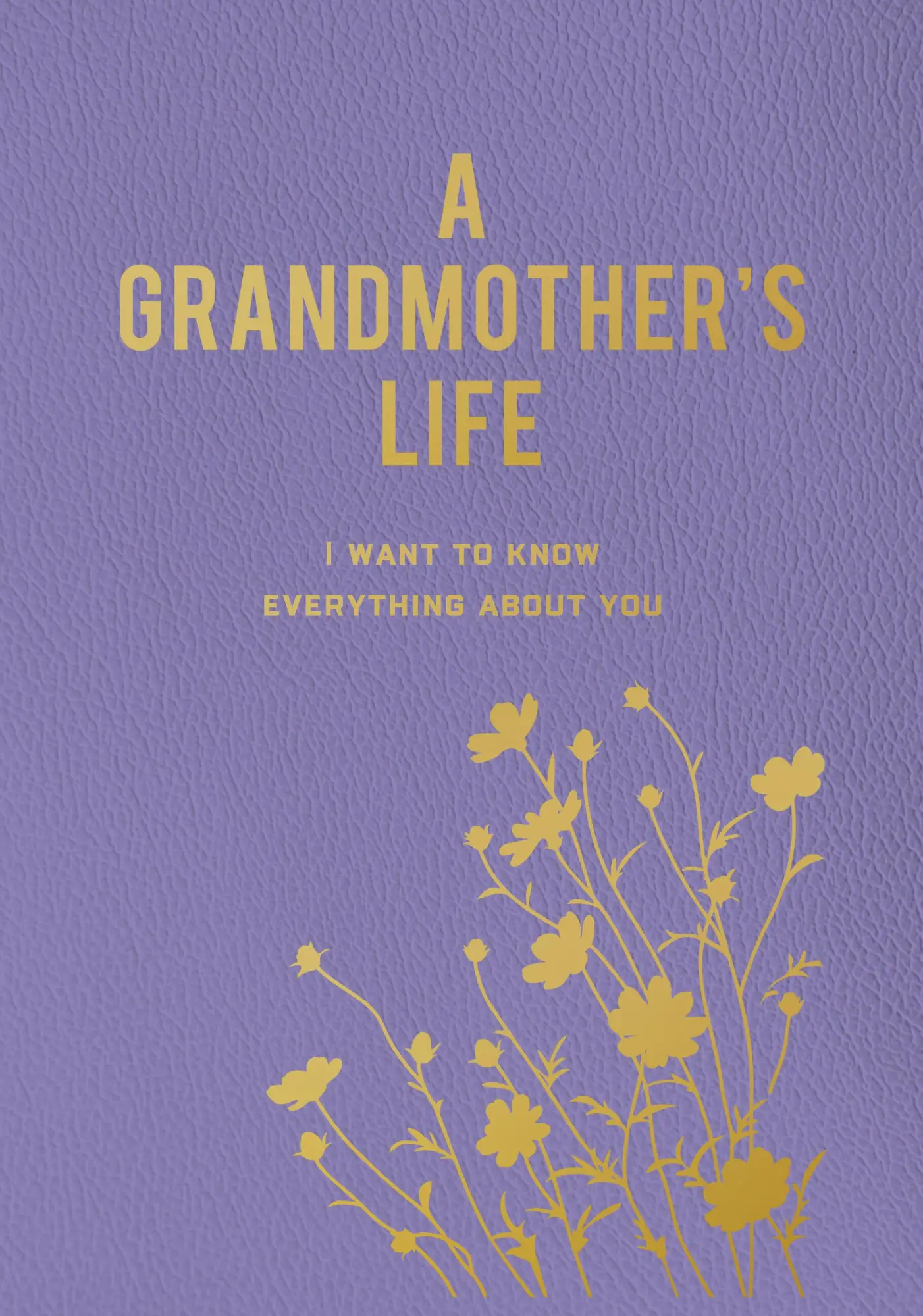 Cover: 9780785844242 | A Grandmother's Life | I Want to Know Everything about You | Books