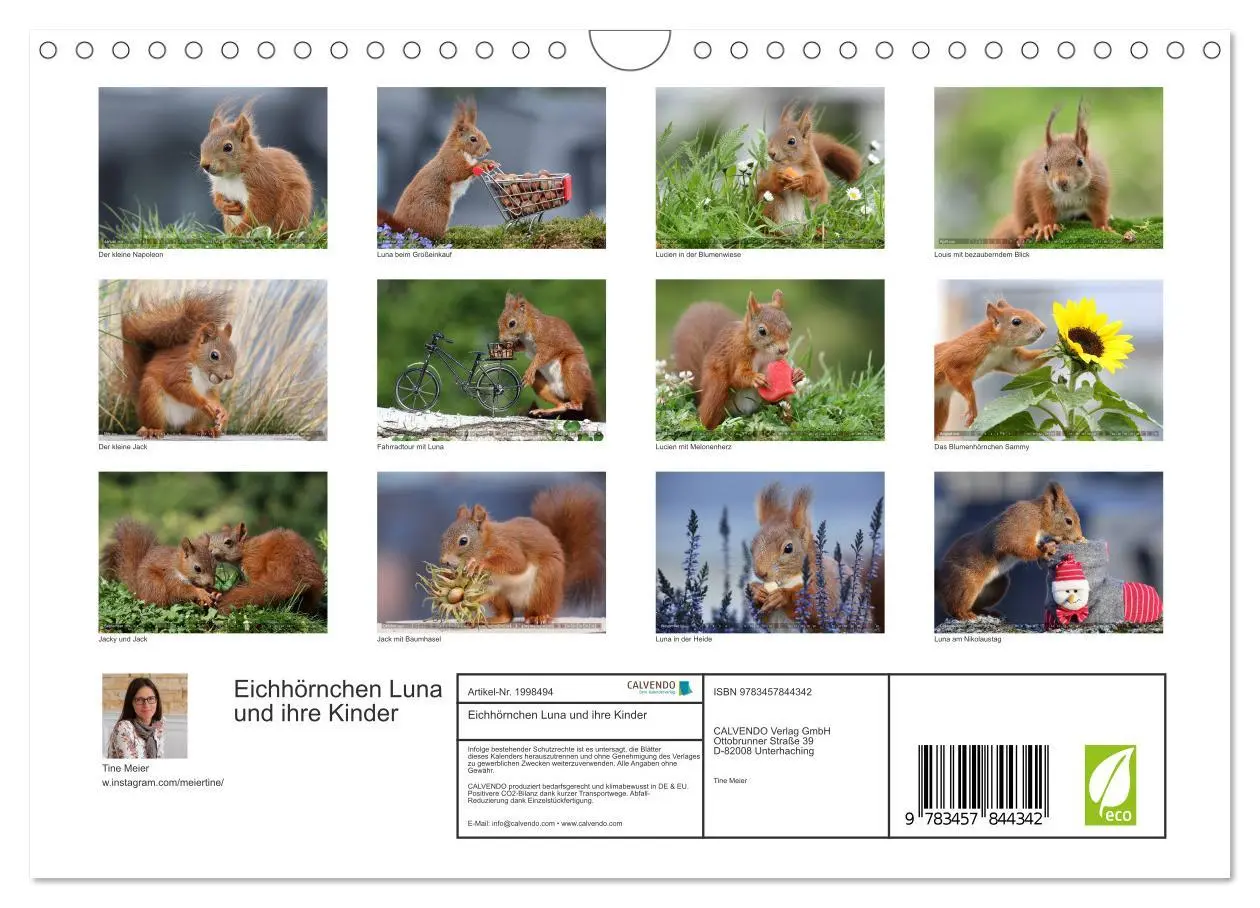 Bild: 9783457844342 | Eichhörnchen Luna und ihre Kinder (Wandkalender 2026 DIN A4 quer),...