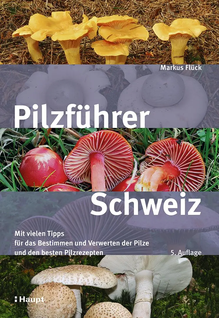 Cover: 9783258084442 | Pilzführer Schweiz | Markus Flück | Buch | 304 S. | Deutsch | 2025