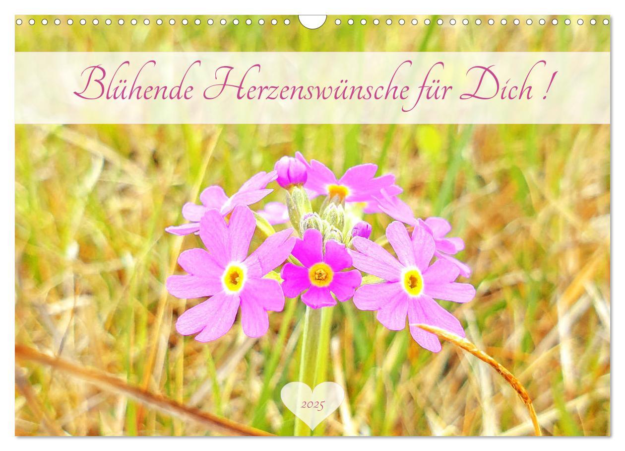 Cover: 9783435124442 | Blühende Herzenswünsche für Dich! (Wandkalender 2025 DIN A3 quer),...