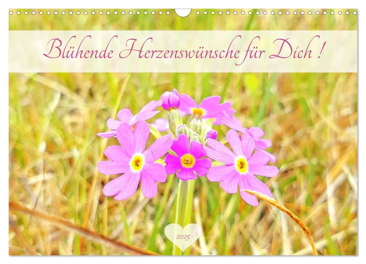 Cover: 9783435124442 | Blühende Herzenswünsche für Dich! (Wandkalender 2025 DIN A3 quer),...