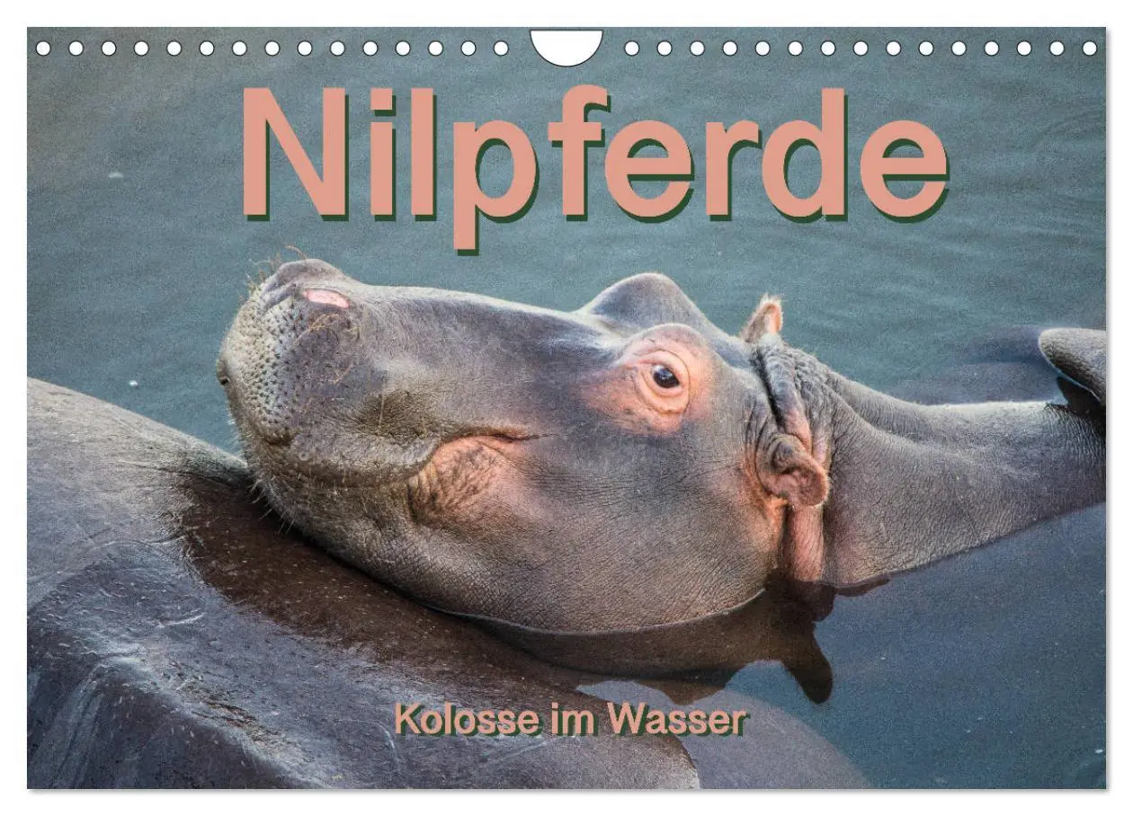 Cover: 9783457834442 | Nilpferde, Kolosse im Wasser (Wandkalender 2026 DIN A4 quer),...