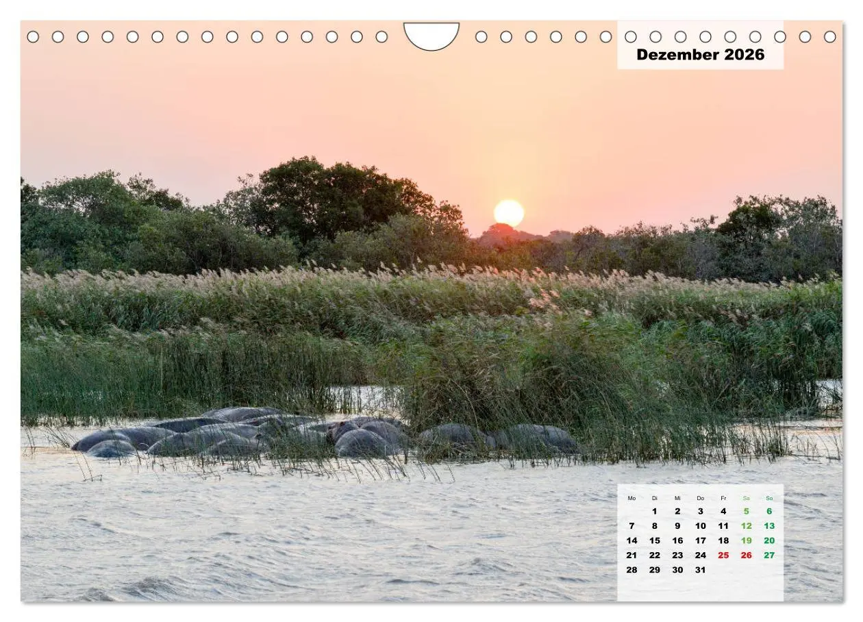Bild: 9783457834442 | Nilpferde, Kolosse im Wasser (Wandkalender 2026 DIN A4 quer),...