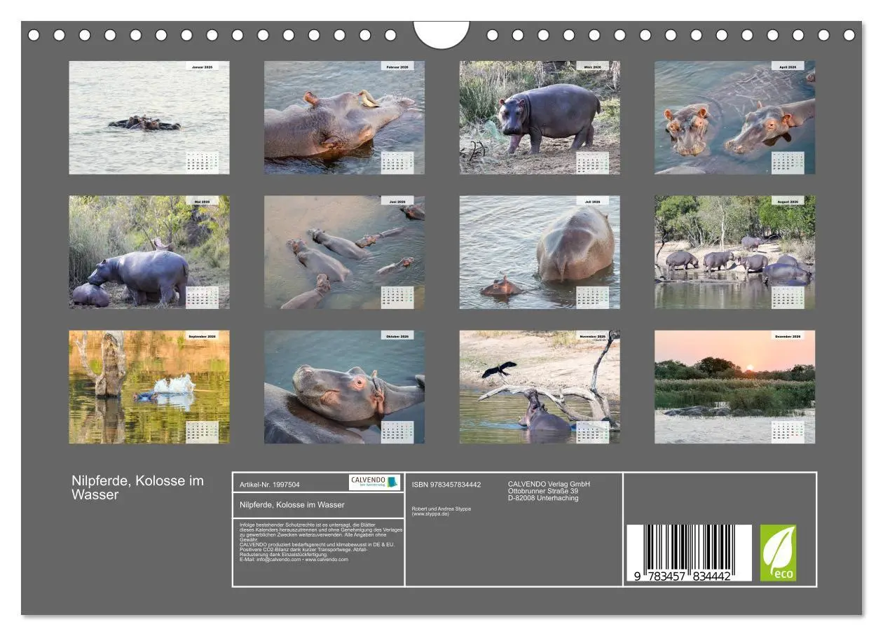 Bild: 9783457834442 | Nilpferde, Kolosse im Wasser (Wandkalender 2026 DIN A4 quer),...