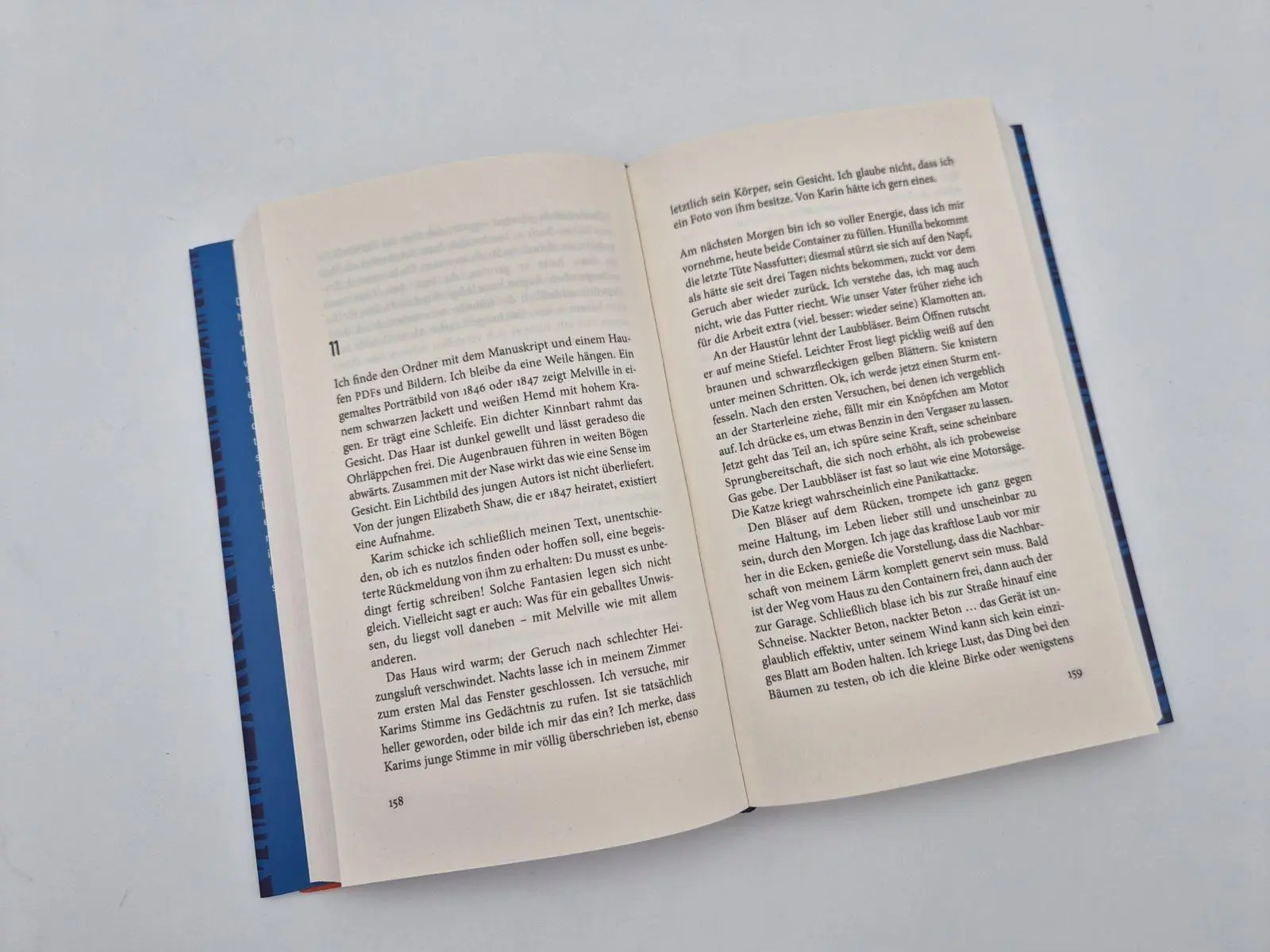 Bild: 9783827014542 | Melville verschwindet | Thomas Lang | Buch | 448 S. | Deutsch | 2026