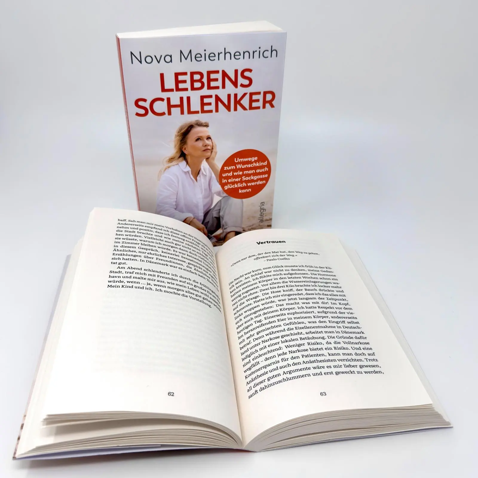 Bild: 9783793424642 | Lebensschlenker | Nova Meierhenrich | Taschenbuch | 208 S. | Deutsch