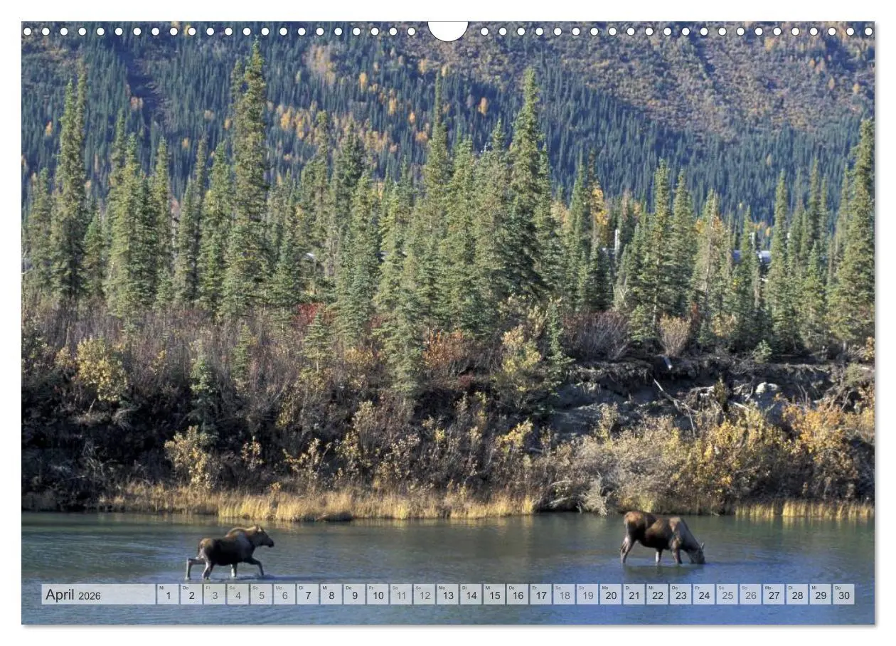 Bild: 9783516134742 | Wildes Alaska Christian Heeb (Wandkalender 2026 DIN A3 quer),...