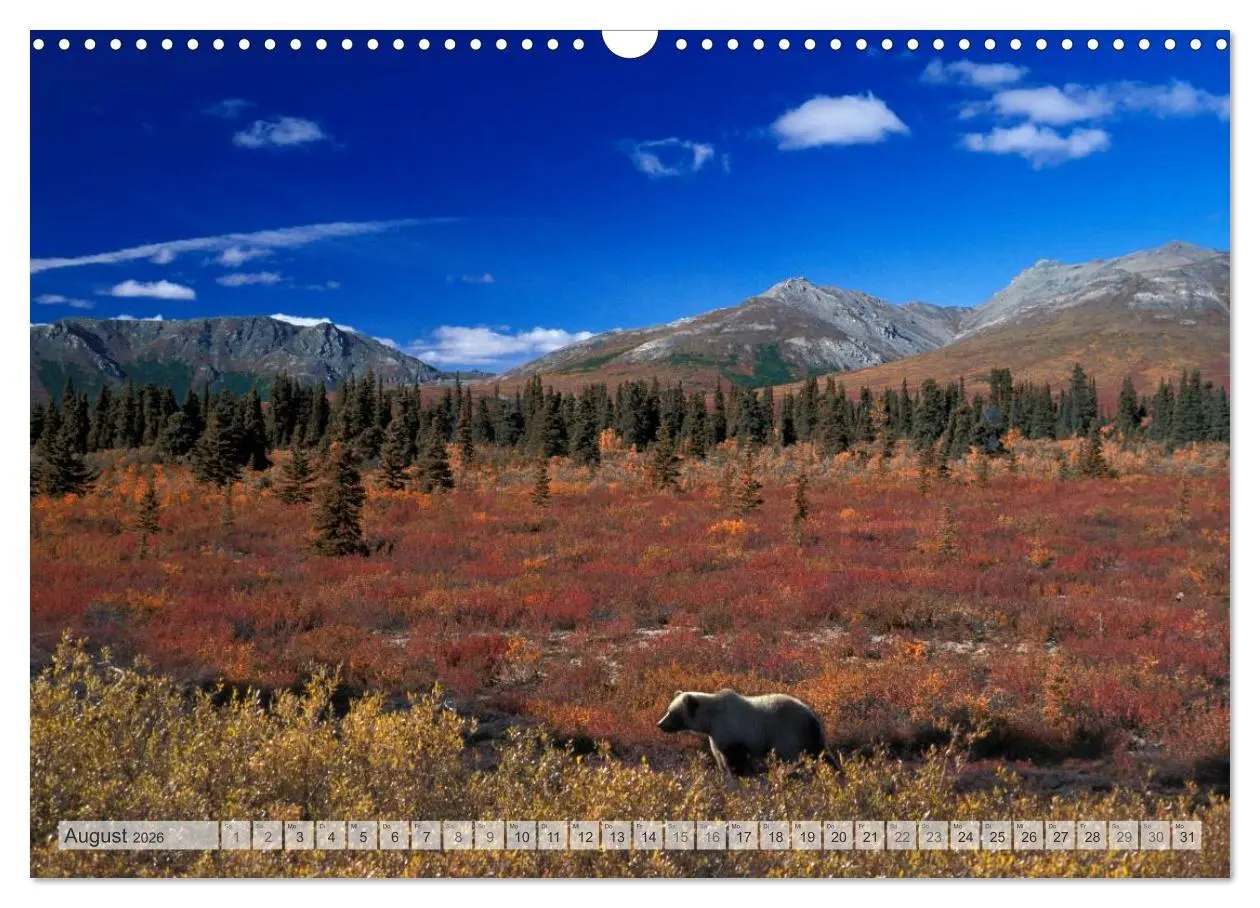 Bild: 9783516134742 | Wildes Alaska Christian Heeb (Wandkalender 2026 DIN A3 quer),...
