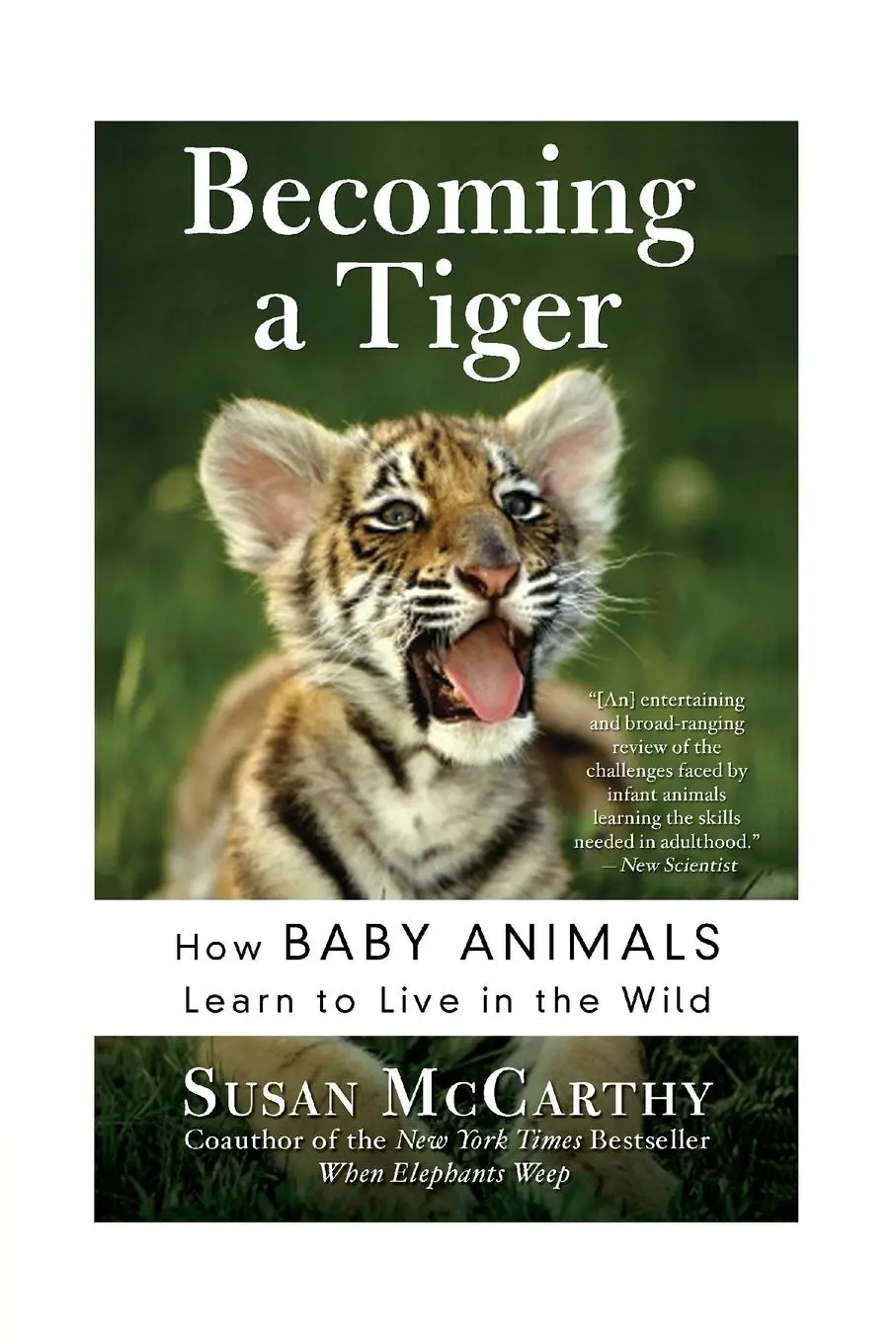 Cover: 9780060934842 | Becoming a Tiger | Susan Mccarthy | Taschenbuch | Englisch | 2021