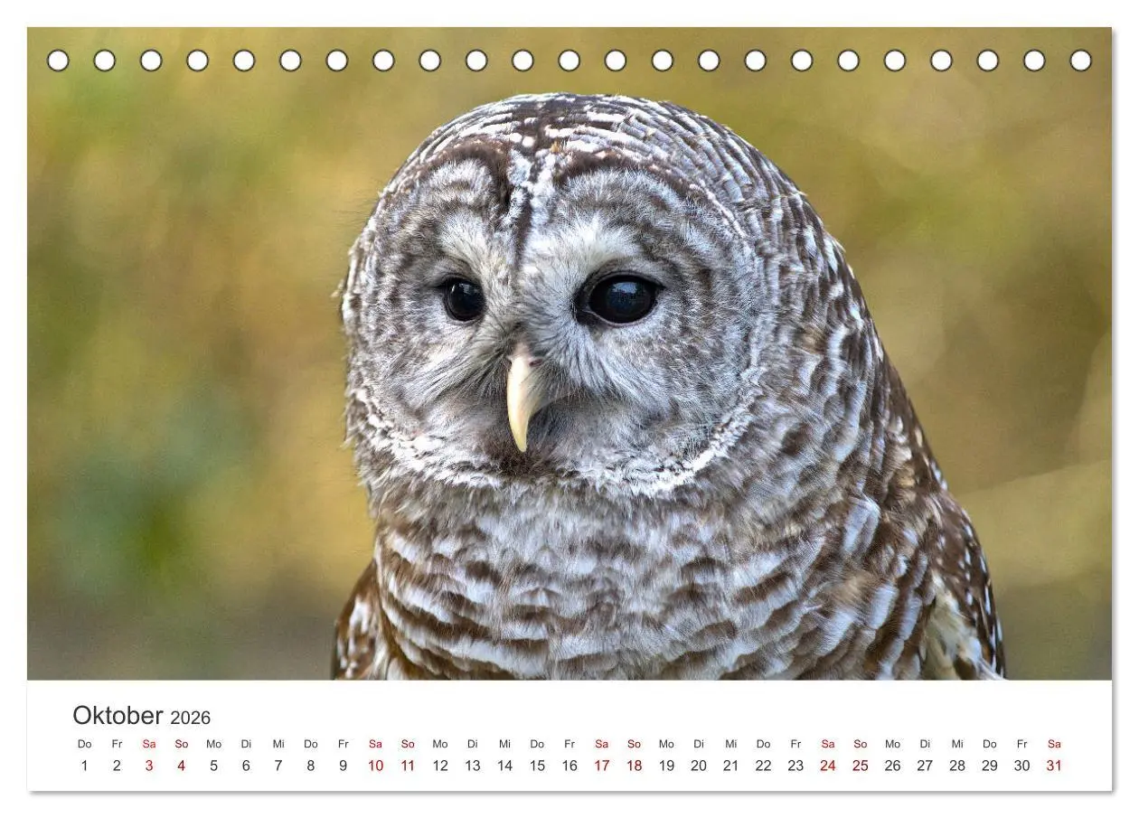 Bild: 9783457414842 | British Columbia - Faszination Kanada (Tischkalender 2026 DIN A5...