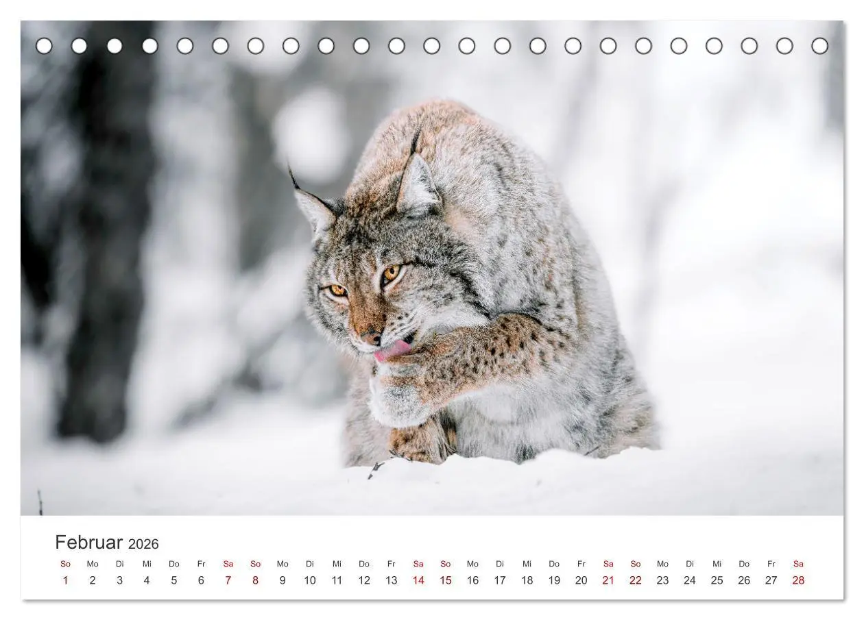 Bild: 9783457414842 | British Columbia - Faszination Kanada (Tischkalender 2026 DIN A5...