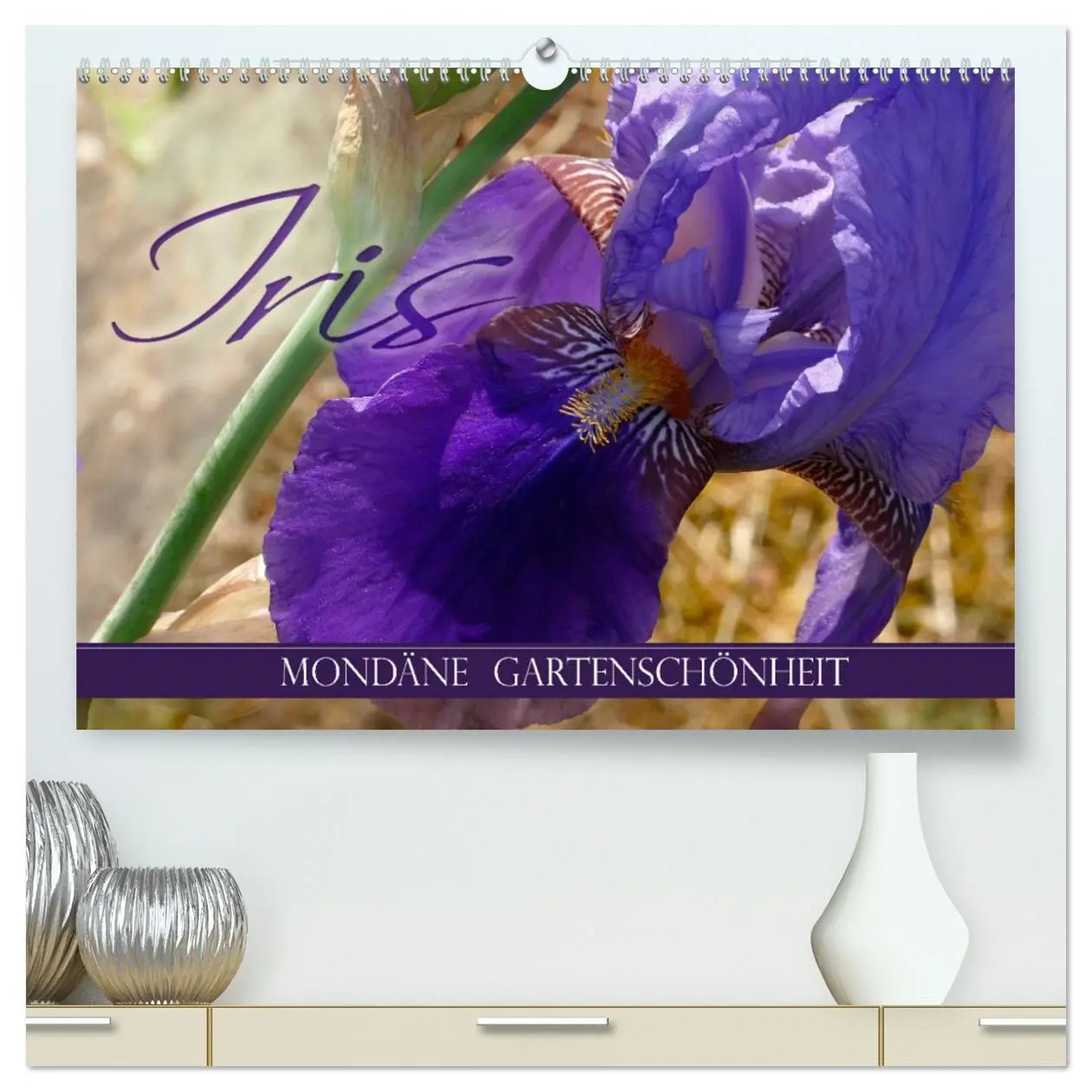 Cover: 9783457724842 | Iris - mondäne Gartenschönheit (hochwertiger Premium Wandkalender...