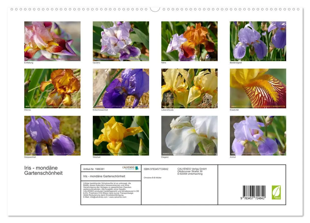 Bild: 9783457724842 | Iris - mondäne Gartenschönheit (hochwertiger Premium Wandkalender...