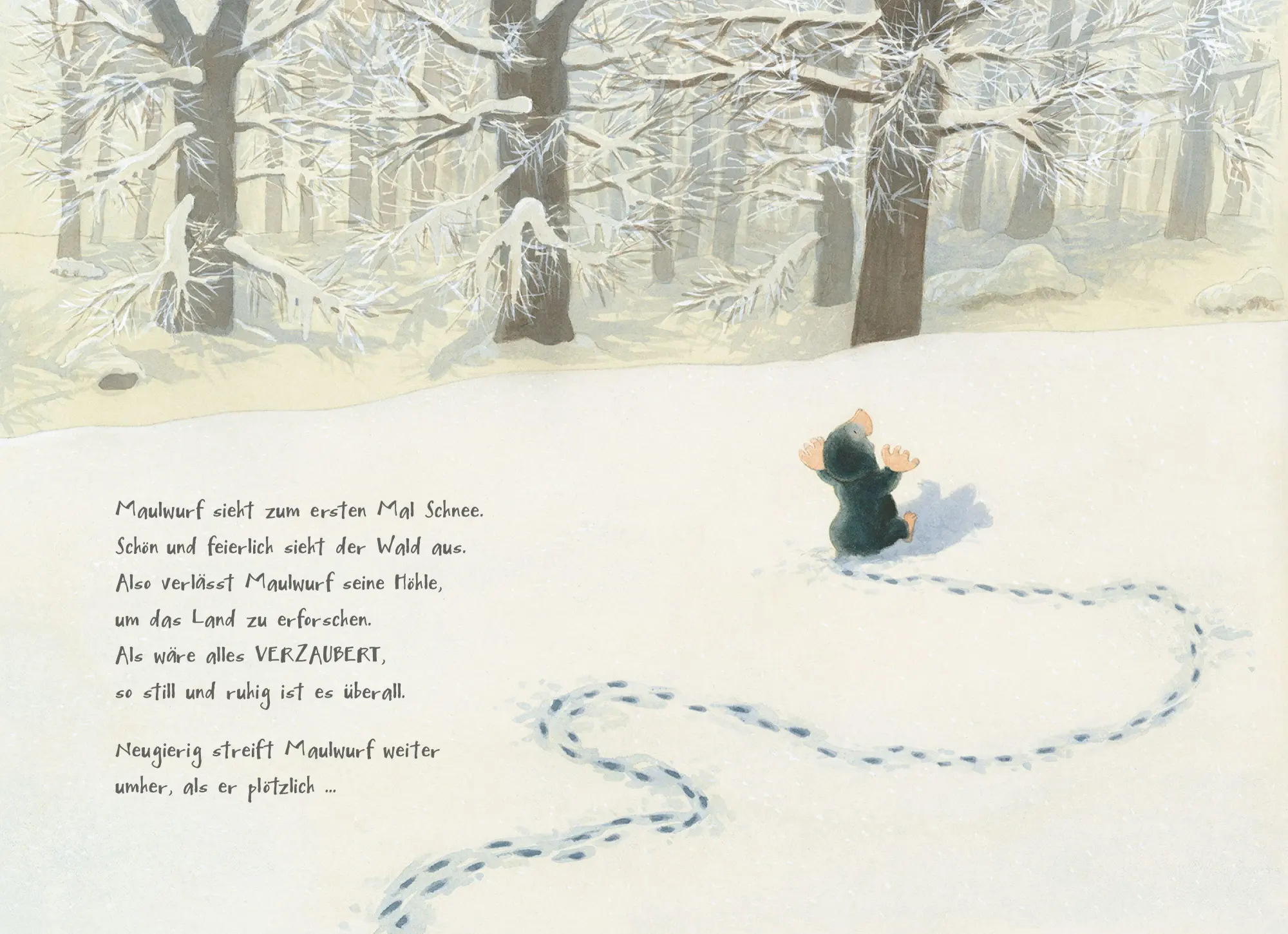 Bild: 9783219114942 | Was glitzert da im Schnee? | Jonathan Emmett | Buch | 32 S. | Deutsch