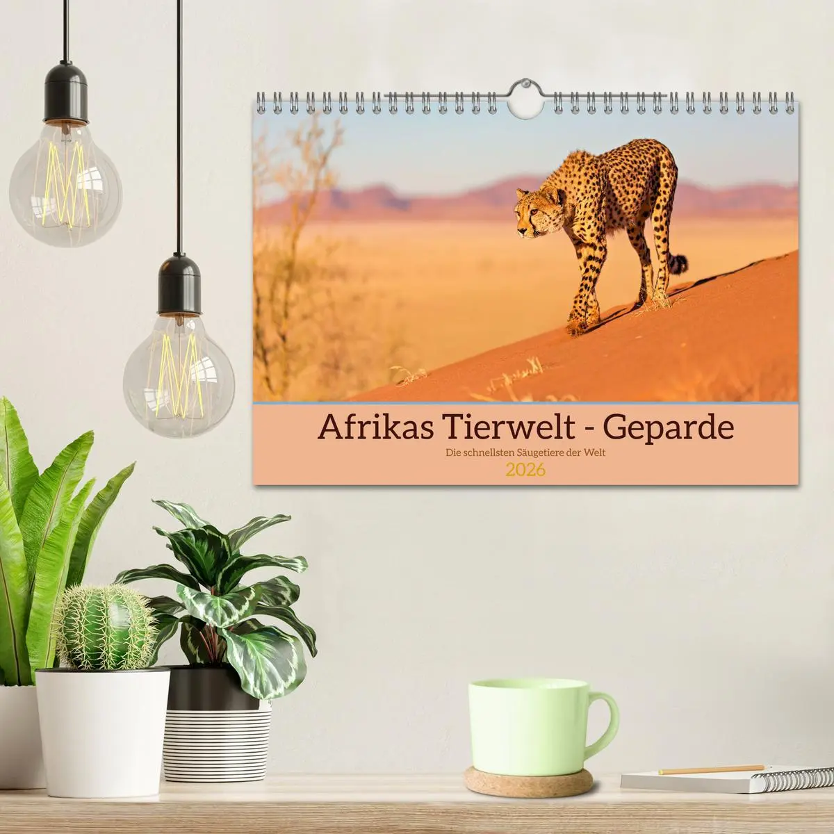 Bild: 9783457264942 | Afrikas Tierwelt - Geparde (Wandkalender 2026 DIN A4 quer),...
