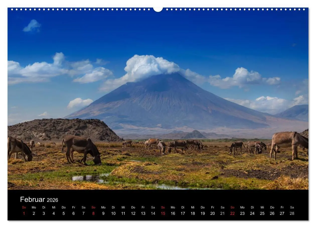 Bild: 9783516114942 | Wildes Afrika (hochwertiger Premium Wandkalender 2026 DIN A2 quer),...