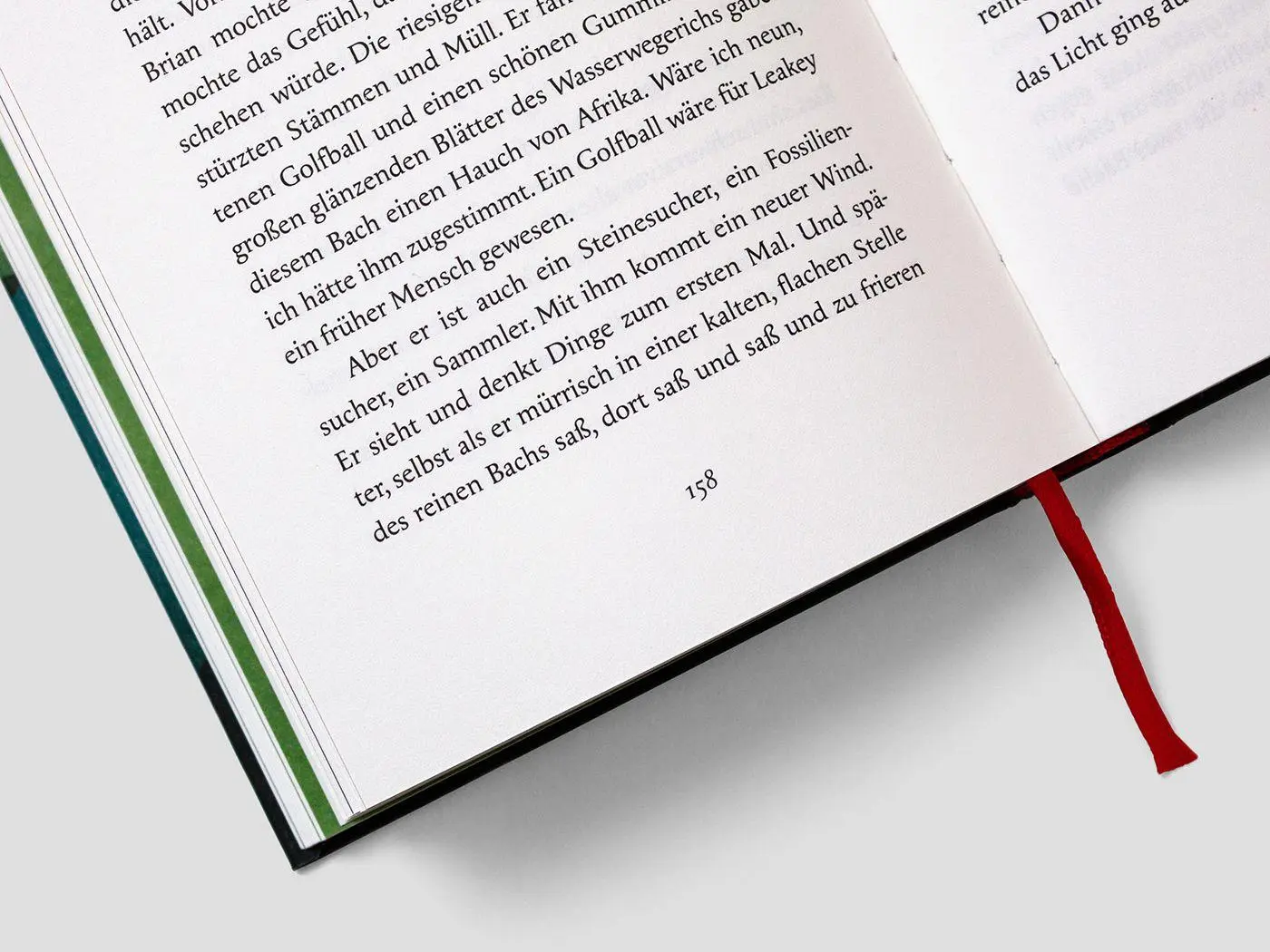 Bild: 9783847704942 | Ein Jahr in der Natur | Josephine Johnson | Buch | 276 S. | Deutsch