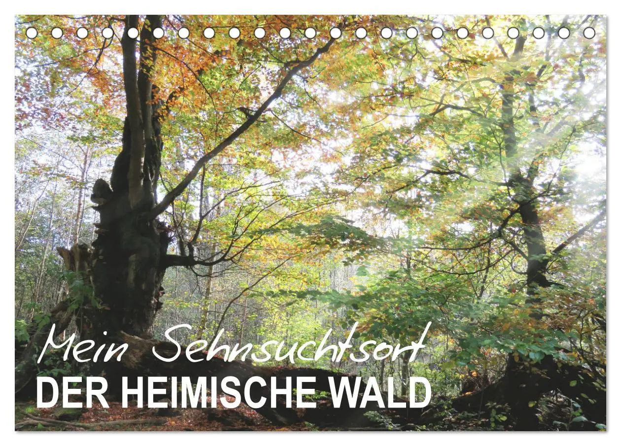 Cover: 9783457915042 | Mein Sehnsuchtsort, der heimische Wald (Tischkalender 2026 DIN A5...