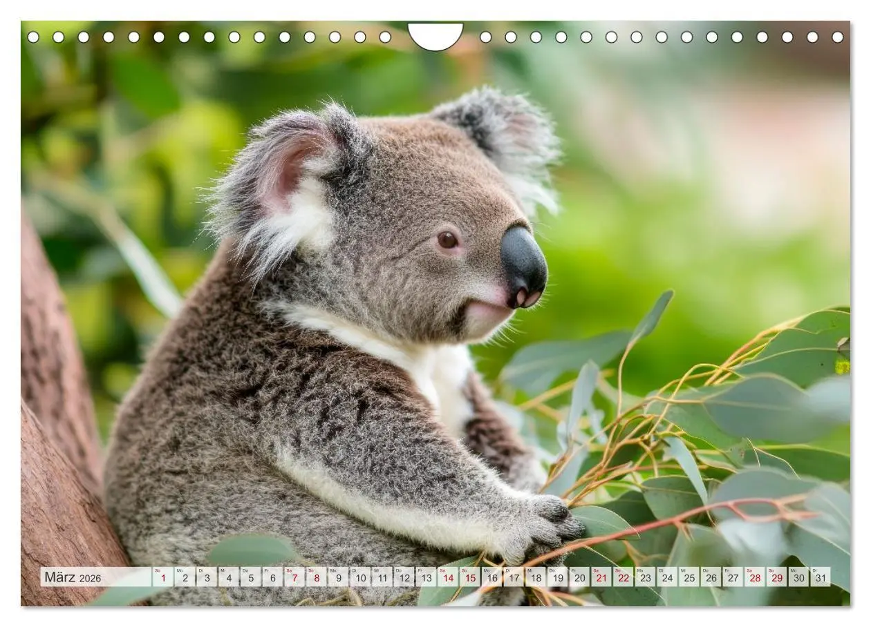 Bild: 9783516005042 | Bedrohte Tierwelt SCHATTEN DES VERSCHWINDENS (Wandkalender 2026 DIN...