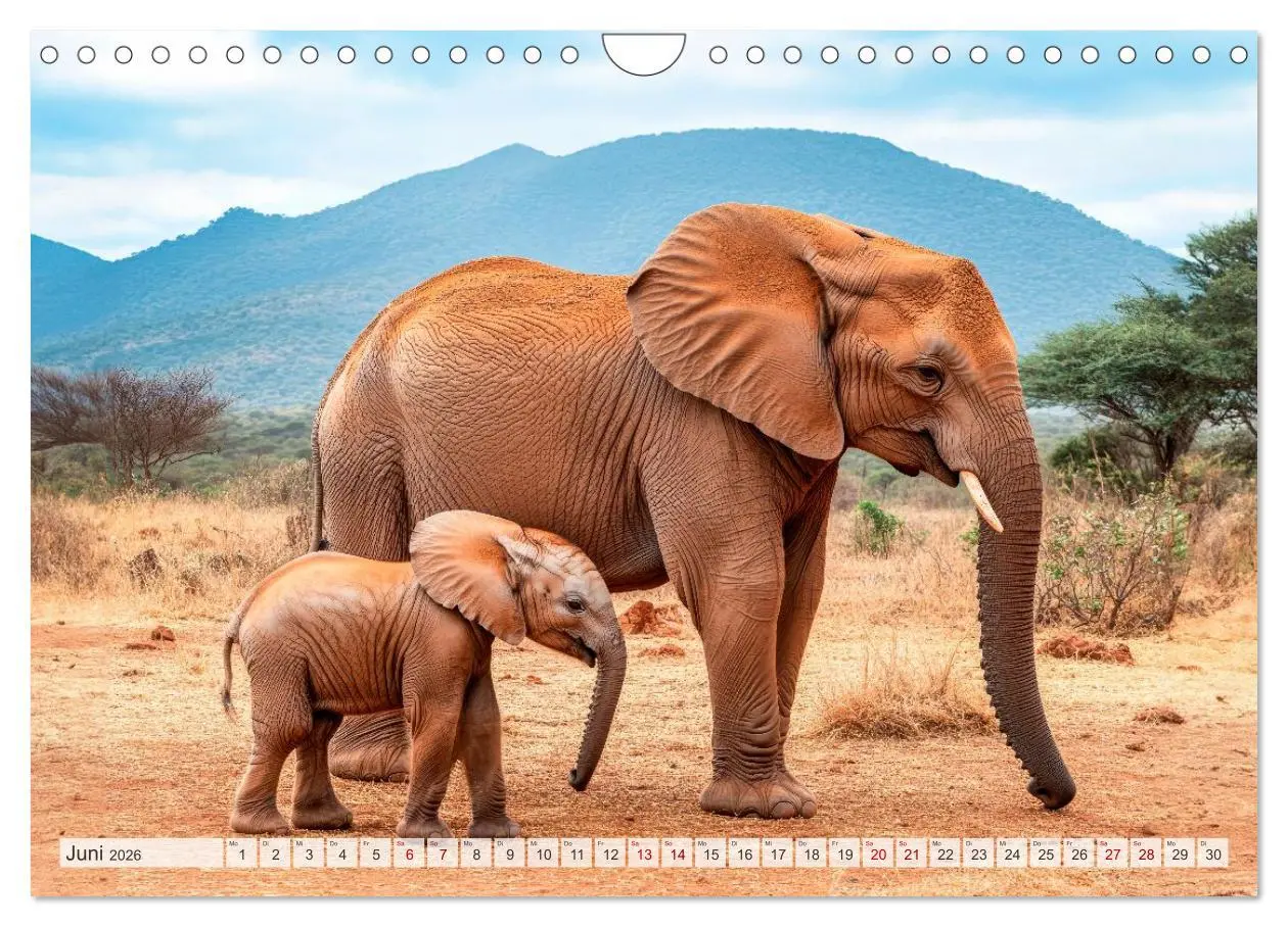 Bild: 9783516005042 | Bedrohte Tierwelt SCHATTEN DES VERSCHWINDENS (Wandkalender 2026 DIN...