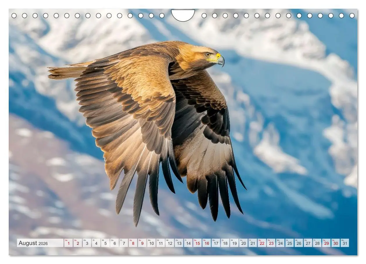 Bild: 9783516005042 | Bedrohte Tierwelt SCHATTEN DES VERSCHWINDENS (Wandkalender 2026 DIN...