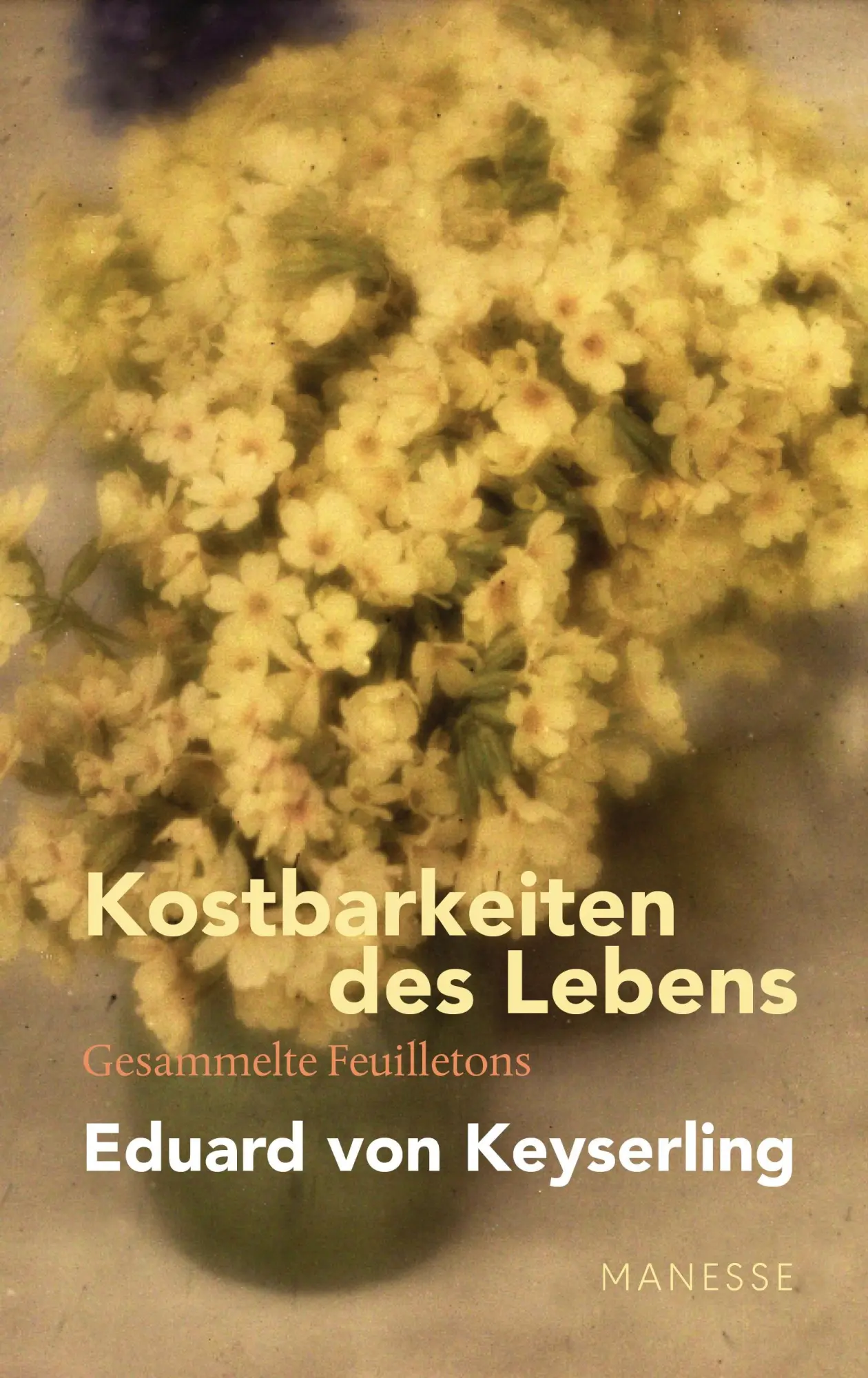 Cover: 9783717525042 | Kostbarkeiten des Lebens - Gesammelte Feuilletons und Prosa | Buch