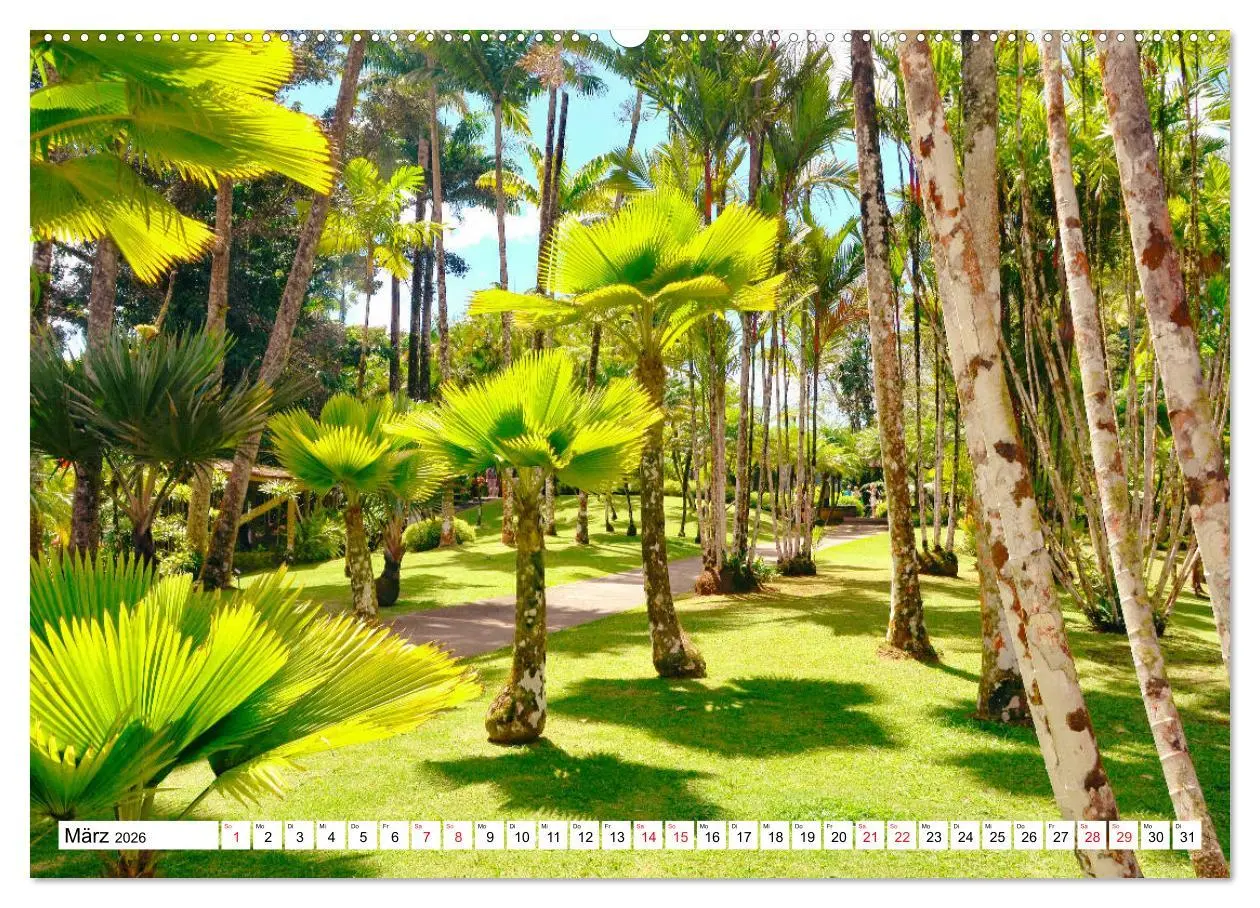 Bild: 9783457695142 | Karibische Momente - Eine Reise ins tropische Paradies...