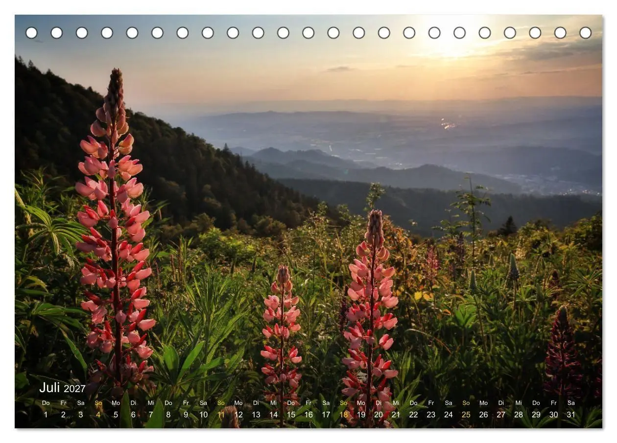 Bild: 9783569015142 | Faszination Schwarzwald (Tischkalender 2027 DIN A5 quer), CALVENDO...