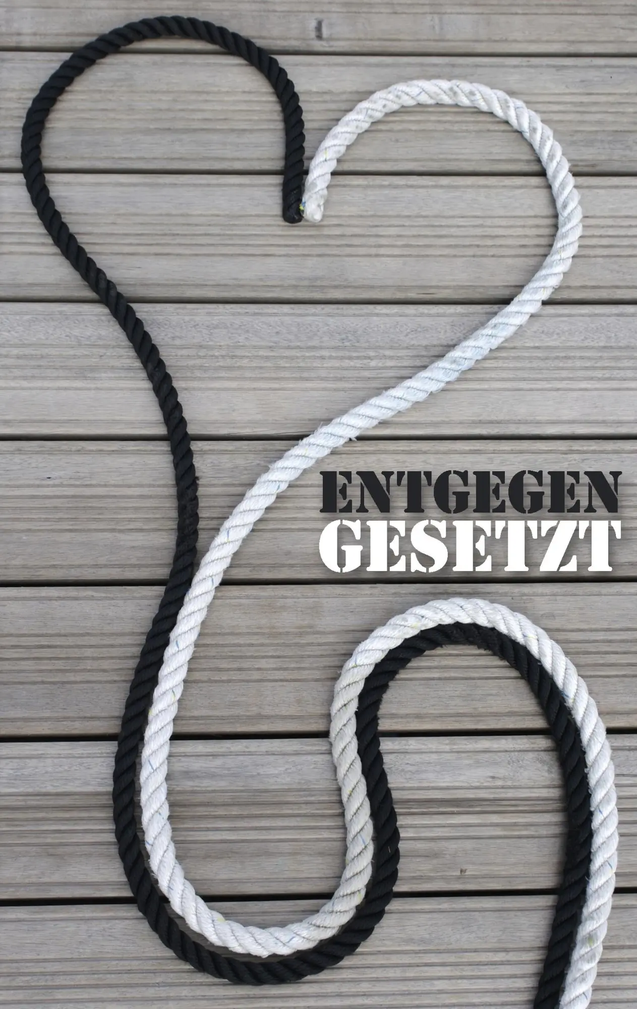 Cover: 9783837095142 | Entgegengesetzt | Zwei Menschen - Ein Buch - Zwei Sichtweisen | Buch