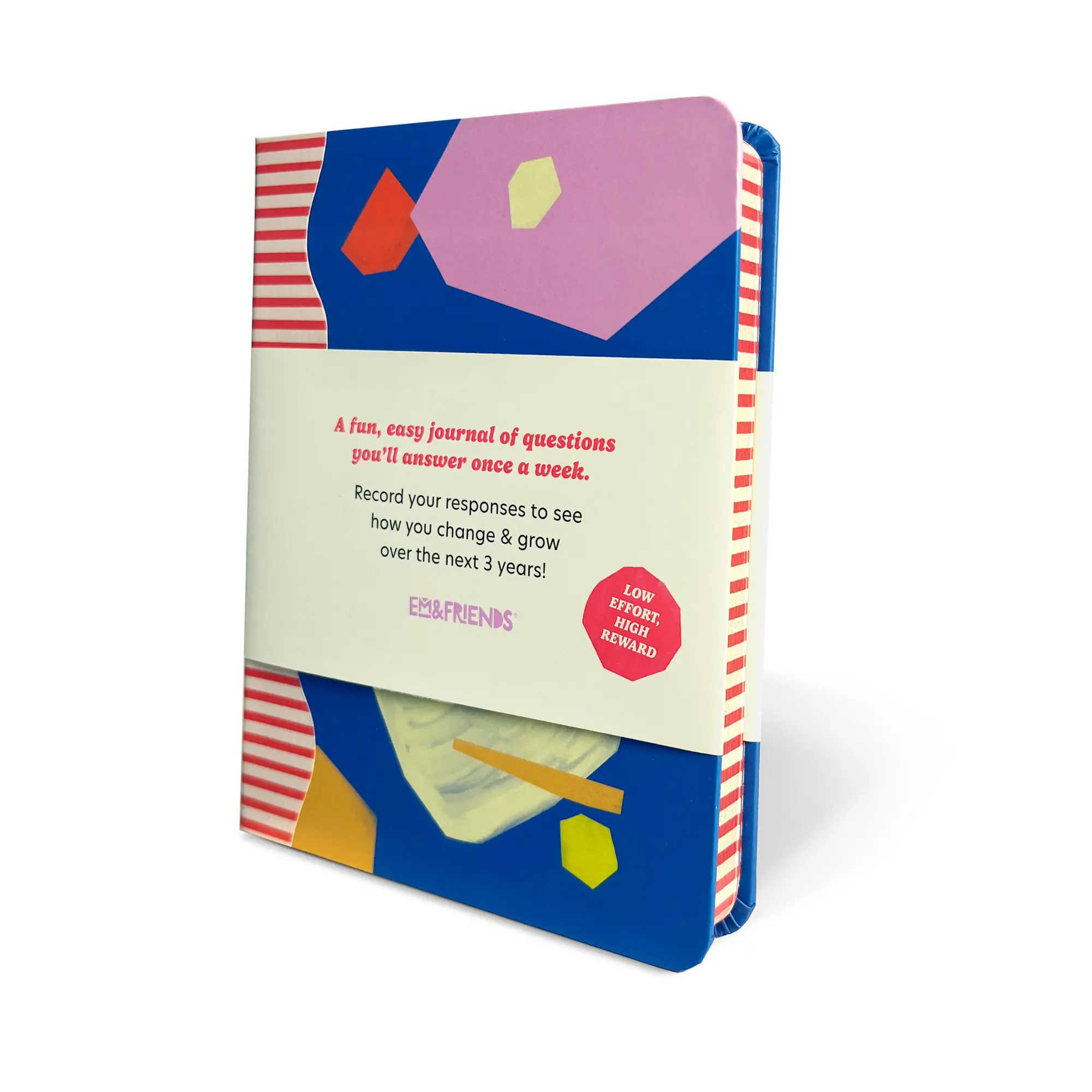 Bild: 9781642465242 | Em &amp; Friends 3-Year Journal | Buch | Englisch | 2024