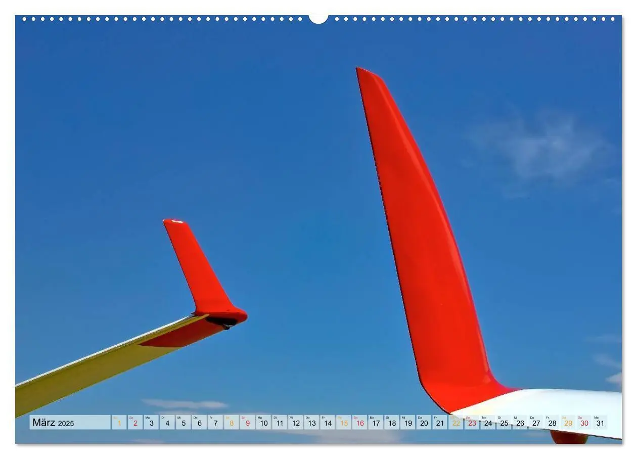 Bild: 9783435595242 | Segelfliegen - wie ein Vogel (Wandkalender 2025 DIN A2 quer),...