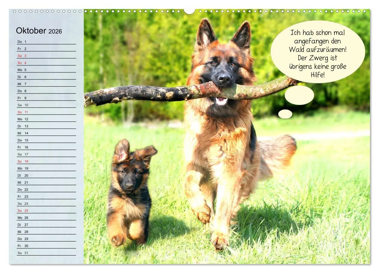 Bild: 9783457755242 | Hurra! Wir gehen Gassi! Abenteuer mit dem Hund! (Wandkalender 2026...