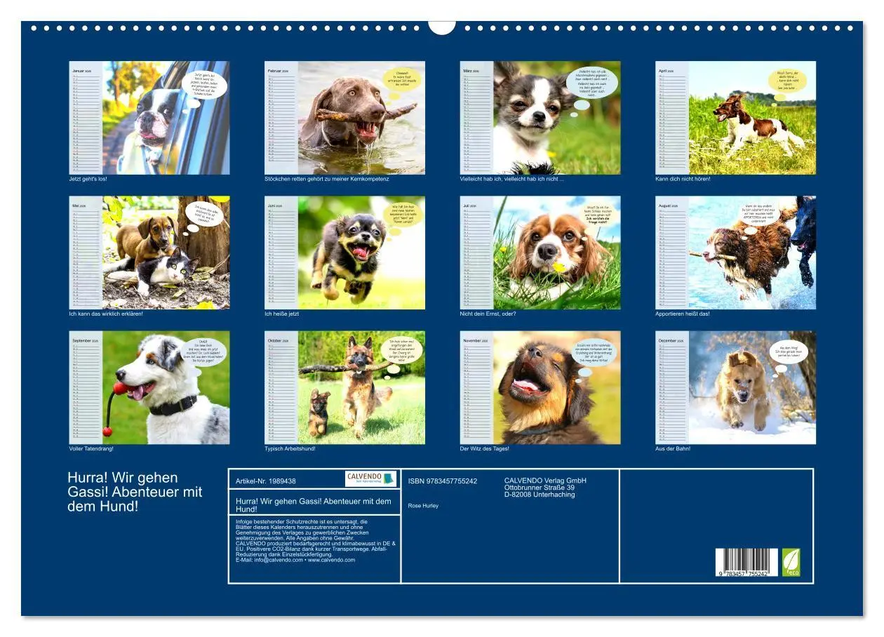 Bild: 9783457755242 | Hurra! Wir gehen Gassi! Abenteuer mit dem Hund! (Wandkalender 2026...