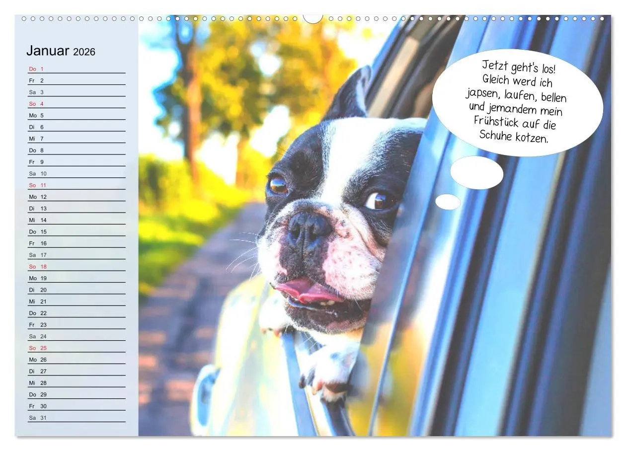 Bild: 9783457755242 | Hurra! Wir gehen Gassi! Abenteuer mit dem Hund! (Wandkalender 2026...