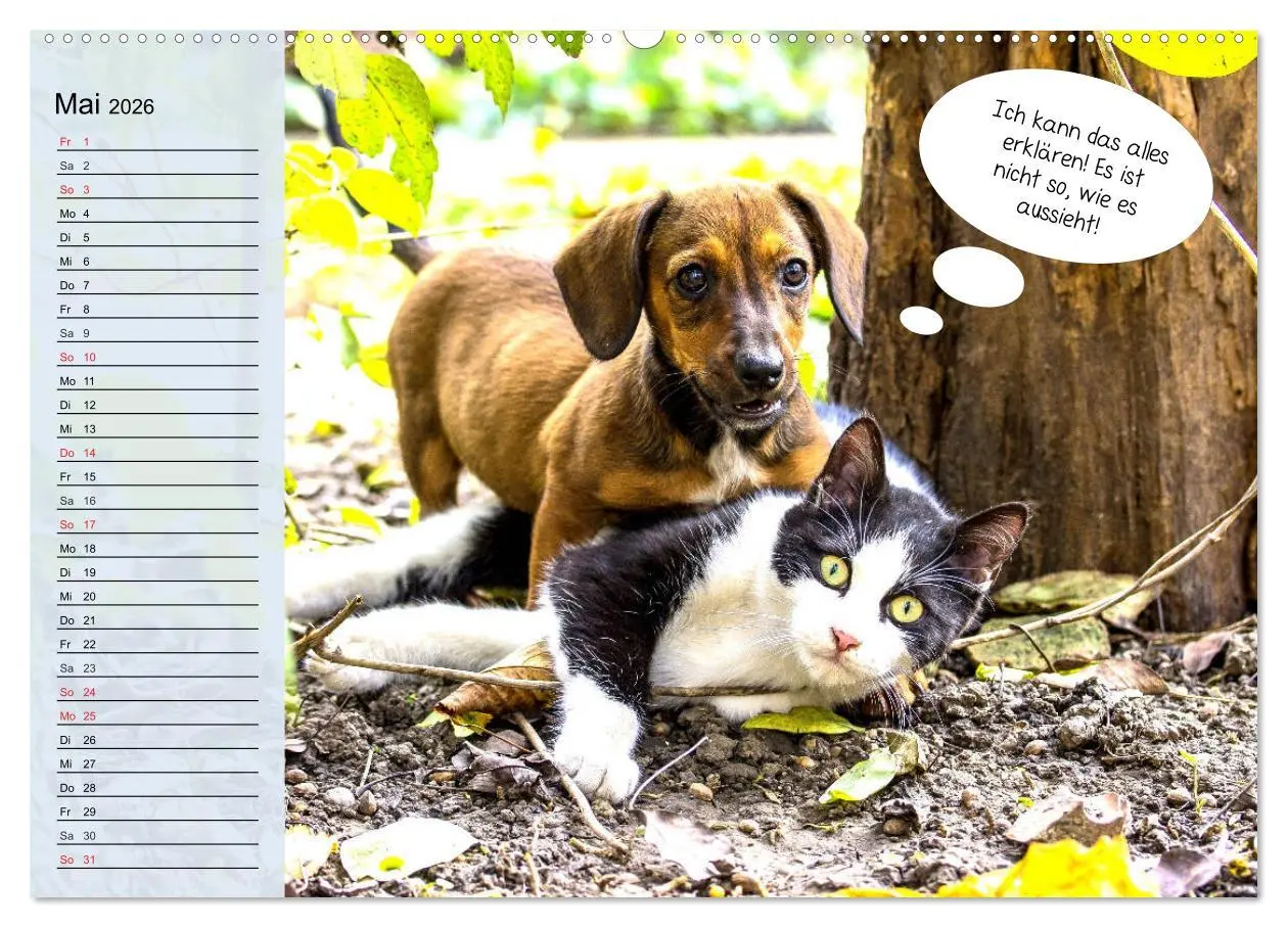 Bild: 9783457755242 | Hurra! Wir gehen Gassi! Abenteuer mit dem Hund! (Wandkalender 2026...