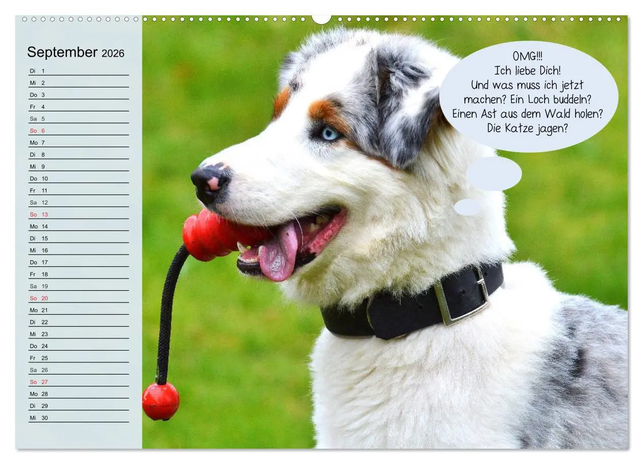 Bild: 9783457755242 | Hurra! Wir gehen Gassi! Abenteuer mit dem Hund! (Wandkalender 2026...