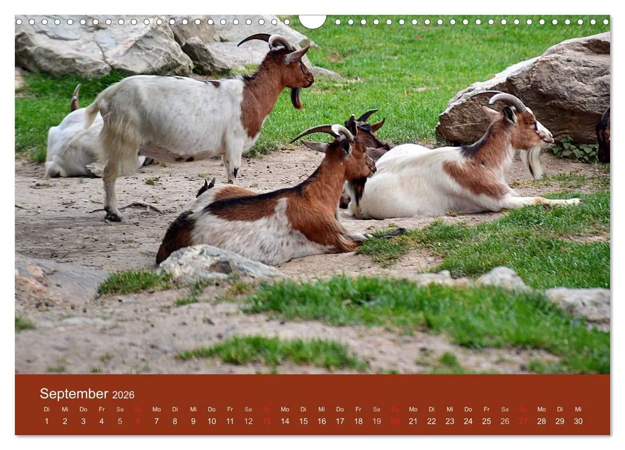 Bild: 9783457995242 | Königstein im Taunus und Umgebung (Wandkalender 2026 DIN A3 quer),...