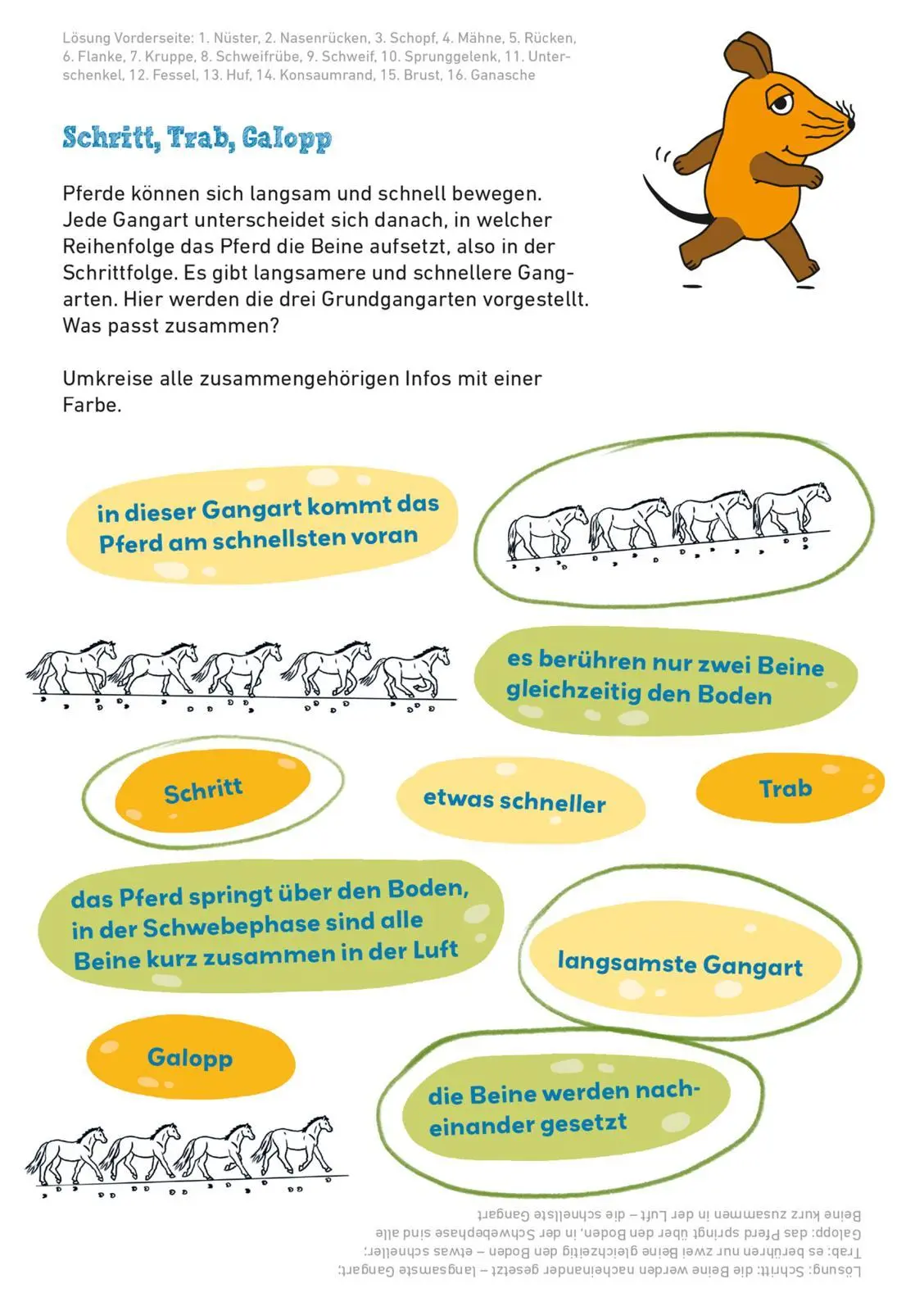 Bild: 9783551255242 | Frag doch mal ... die Maus: Mein Rätselblock mit der Maus - Pferde...
