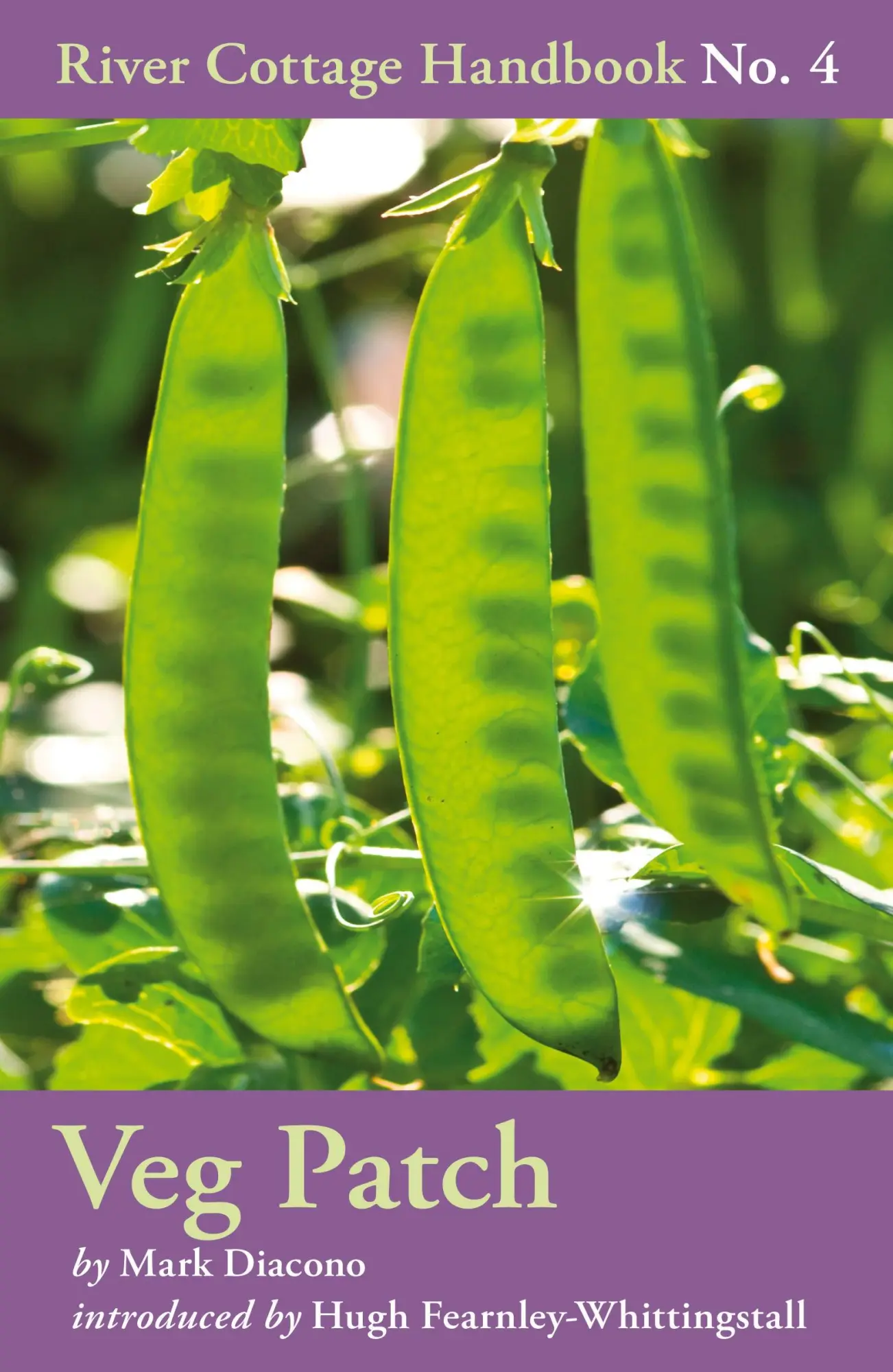 Cover: 9780747595342 | Veg Patch | Mark Diacono | Buch | Gebunden | Englisch | 2009